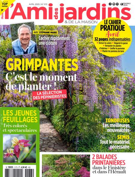 Abonement L'AMI DES JARDINS + 6 HS - L'Ami des Jardins, c'est chaque mois des reportages passionnants sur des jardins de reve racontes par ceux qui les ont imagines et realises, des exemples a suivre et des erreurs a eviter, des idees deco et toutes les solutions pour (...)